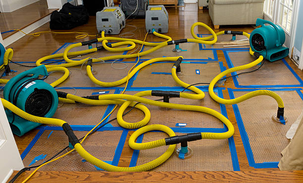 Professional Water Extraction technician working in Bradford, OH